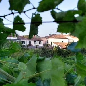 Casa vacanze Etna, Piedimonte Etneo